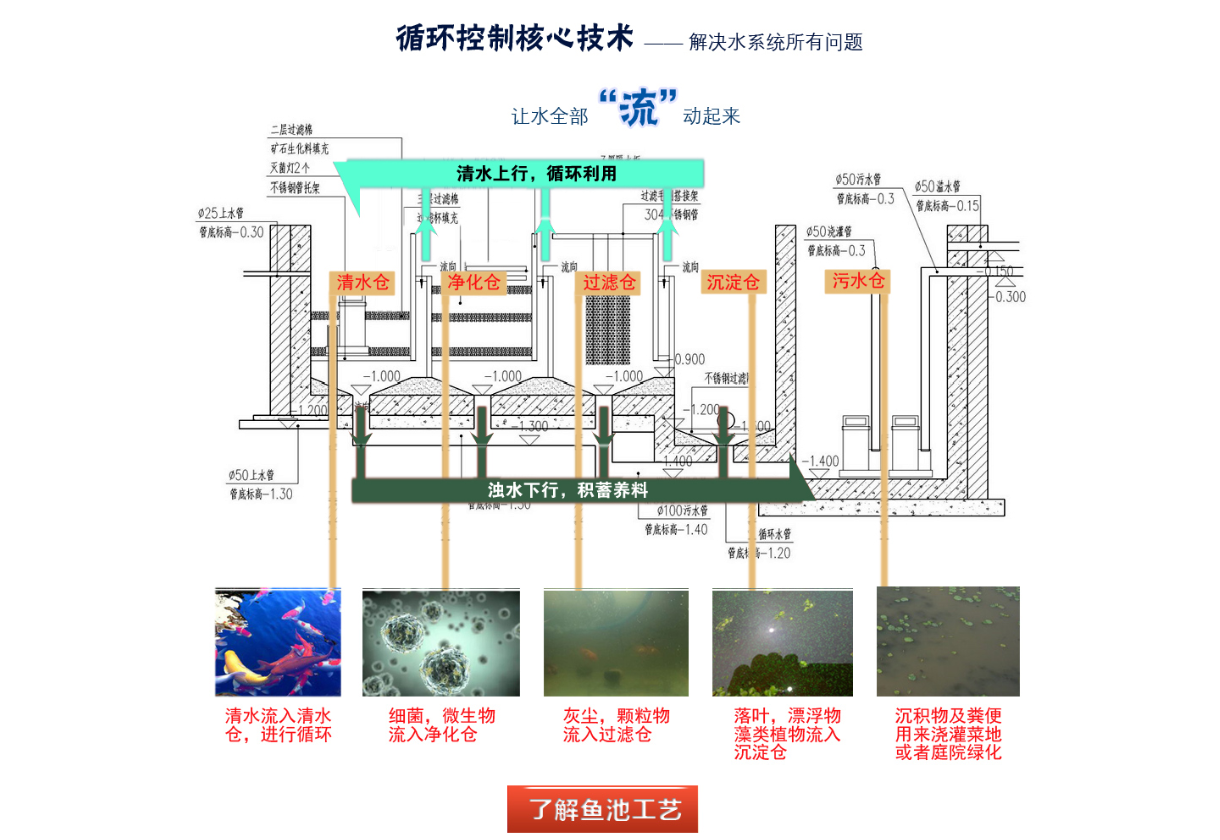 抖圈-为du而生官网入口